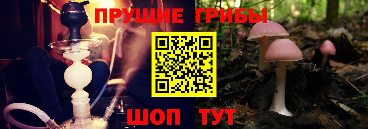 Галлюциногенные грибы Cubensis Рубцовск